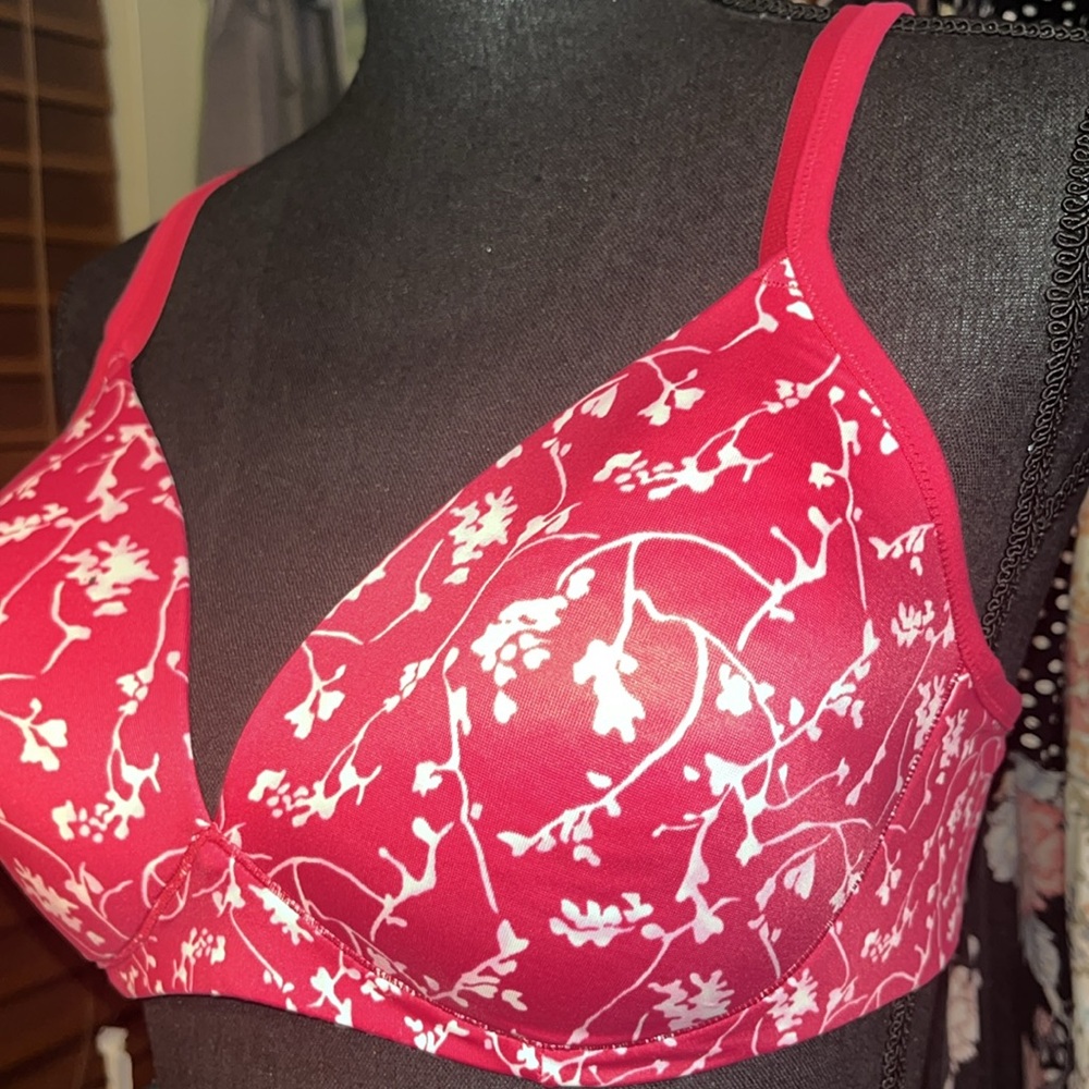 #142-EUC Warner’s 38C bra modern design, no underwires, thin padding